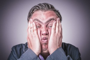 Wildix_frenchblog_Art2_080715_ryanmcguire_freecopyrightrestrictions