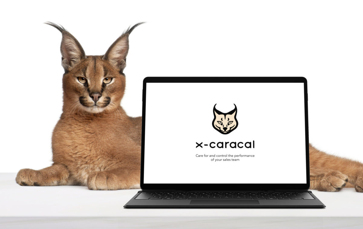 x-caracal by Wildix x-caracal by Wildix