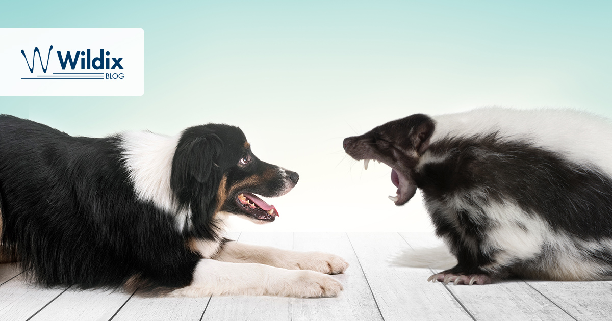 For blog copy importance of communication